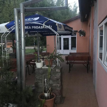 Vila Tanamera Hotel Moneasa Exterior foto